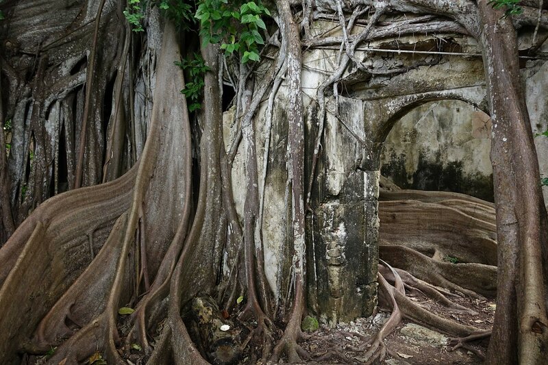 Таисия, 42 года, 3 размер груди